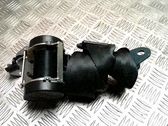 Cinturón trasero