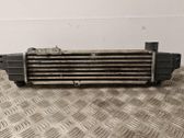 Radiador intercooler