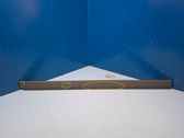 Front door trim (molding)