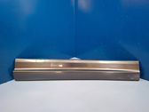 Front door trim (molding)