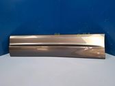 Rear door trim (molding)