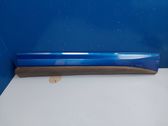 Front door trim (molding)