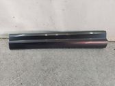 Front door trim (molding)