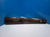 Front door trim (molding)