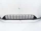 Front bumper lip