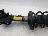 Front shock absorber/damper