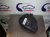 Airbag de la puerta delantera