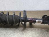 Amortiguador delantero