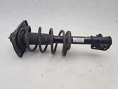 Front shock absorber/damper