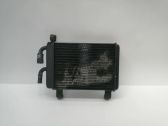 Radiador del refrigerante