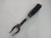 Front shock absorber/damper