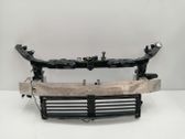 Panel lateral delantero