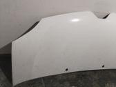 Motorhaube