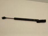 Rear door check strap stopper
