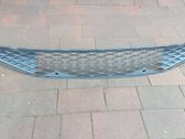 Unteres Gitter dreiteilig vorne