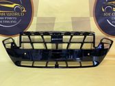 Front grill