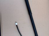Tailgate/trunk strut/damper