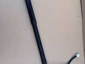 Tailgate/trunk strut/damper