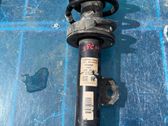 Front shock absorber with coil spring