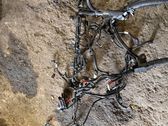 Other wiring loom
