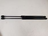 Tailgate hydraulic set