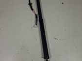 Tailgate/trunk strut/damper