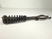Front shock absorber with coil spring