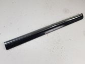 Rear door trim (molding)