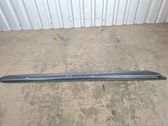 Windshield trim