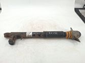 Rear shock absorber/damper