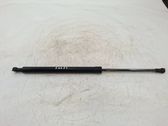Tailgate/trunk strut/damper