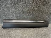 Other front door trim element