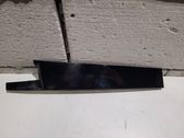 Rear door glass trim molding