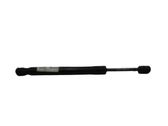 Tailgate/trunk strut/damper