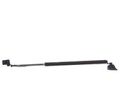 Tailgate/trunk strut/damper