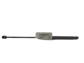Tailgate/trunk strut/damper