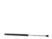 Tailgate/trunk strut/damper