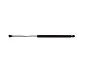 Tailgate/trunk strut/damper