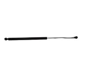 Tailgate/trunk strut/damper