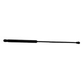 Tailgate/trunk strut/damper