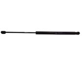 Tailgate/trunk strut/damper