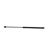 Tailgate/trunk strut/damper