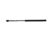 Tailgate/trunk strut/damper