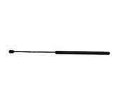 Tailgate/trunk strut/damper