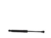 Front bonnet/hood damper/strut