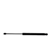 Tailgate/trunk strut/damper