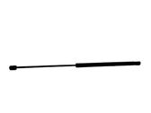Tailgate/trunk strut/damper