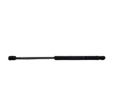 Tailgate/trunk strut/damper