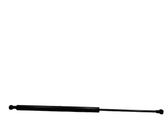 Tailgate/trunk strut/damper