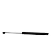 Tailgate/trunk strut/damper